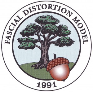 FDM Logo